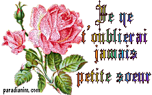sa c est pour ma soeurette